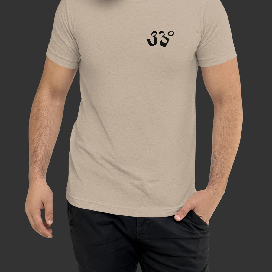 Legacy Tee, Sand, on model, front
